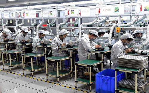 进工厂还是做服务生 一份务实的选择指南